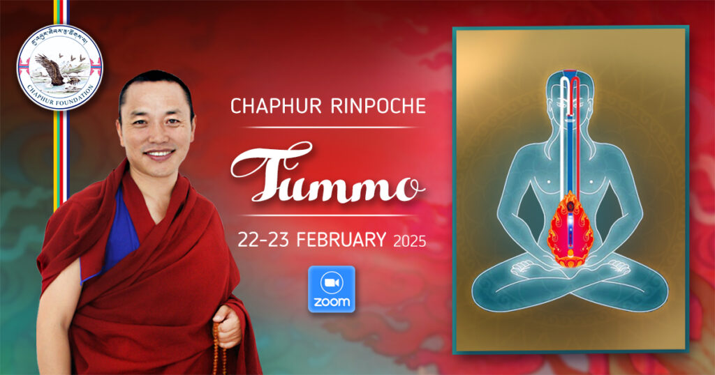 TUMMO ENG 02_2025